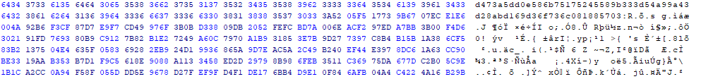 Snapshot of encrypted payload