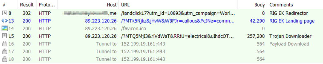 RIG EK Infection Cycle