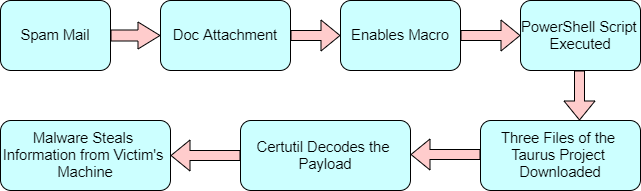 Infection cycle