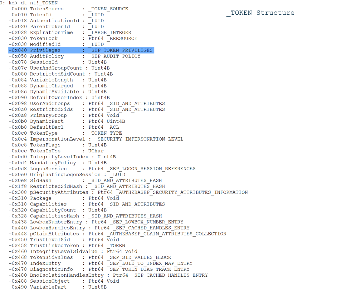 The _Token structure on Windows 11