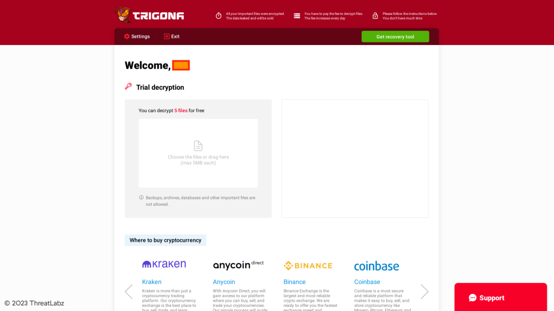 Figure 4. Trigona victim ransom portal