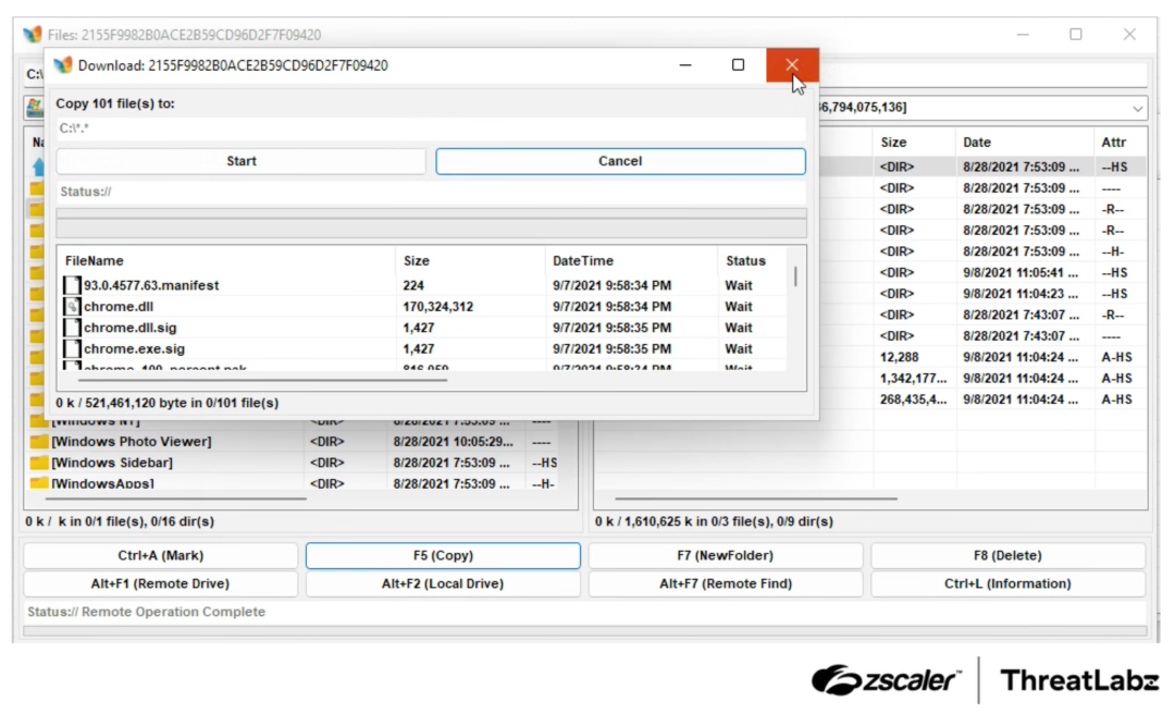 Example of DanaBot’s file grabbing features.
