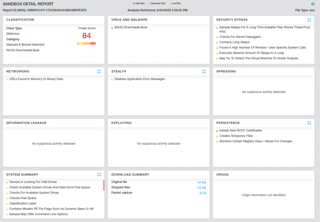 Buer Loader sandbox report